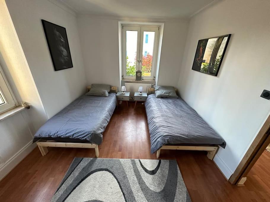 Magnifique Appartement F3. 4 A 6 Personnes Lutterbach Екстер'єр фото
