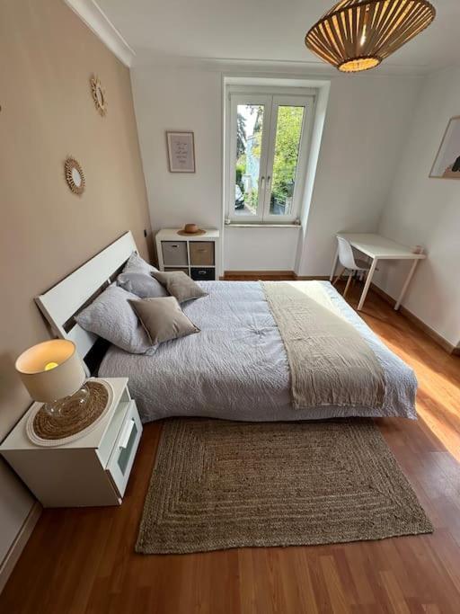 Magnifique Appartement F3. 4 A 6 Personnes Lutterbach Екстер'єр фото