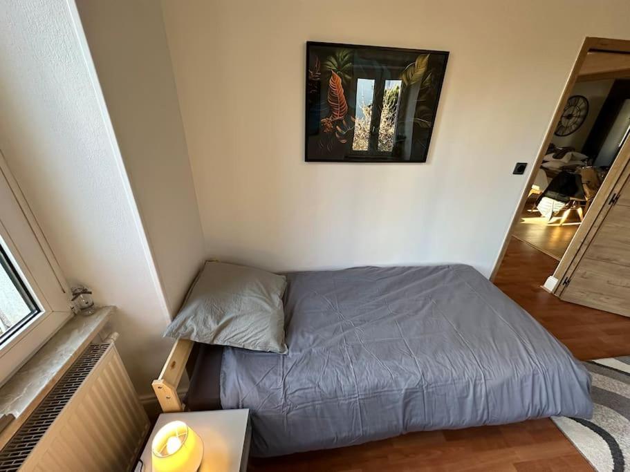 Magnifique Appartement F3. 4 A 6 Personnes Lutterbach Екстер'єр фото
